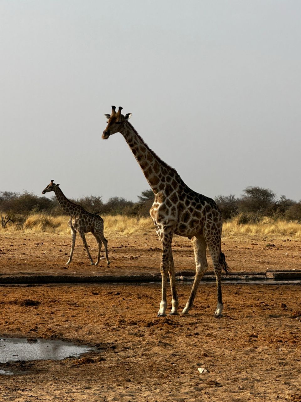 WhatsApp Image 2025-11-11 at 09.23.12_9a0ccf78