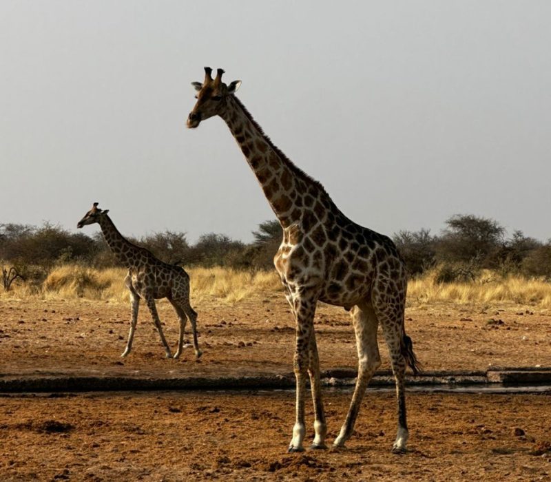 WhatsApp Image 2025-11-11 at 09.23.12_9a0ccf78