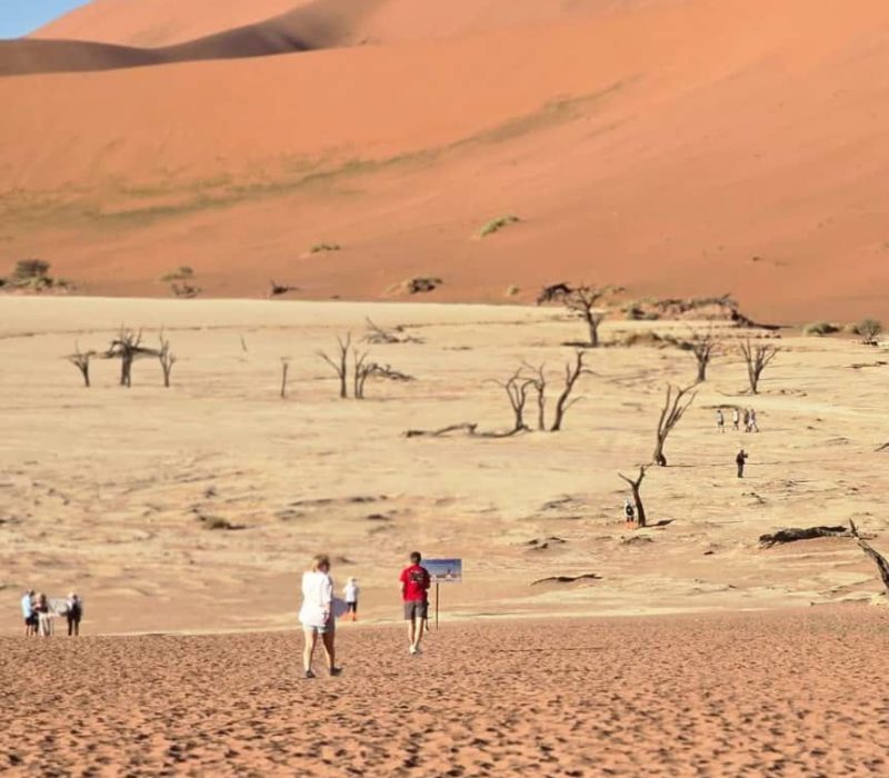 WhatsApp Image 2025-11-11 at 09.25.42_b4c65e8e